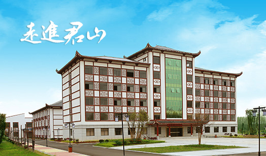 企業(yè)簡介
